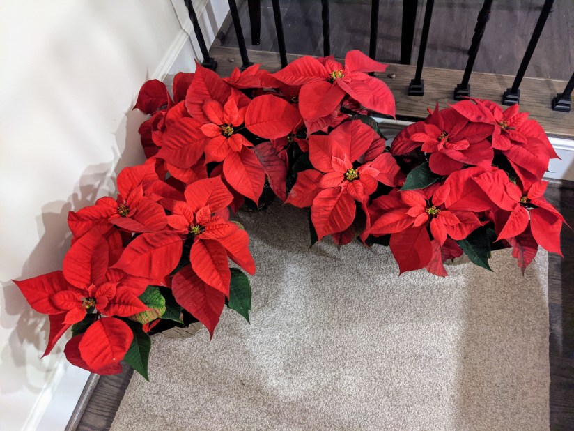 img_20191213_235320-1